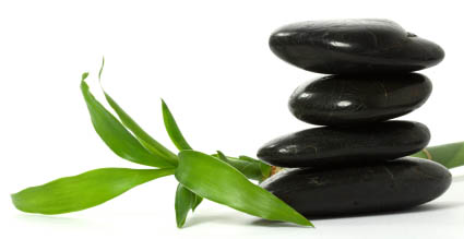 Picture of stones and bamboo shoot